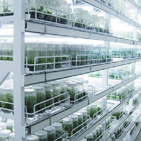 Precision Lab Furniture Industries tissue culture rack